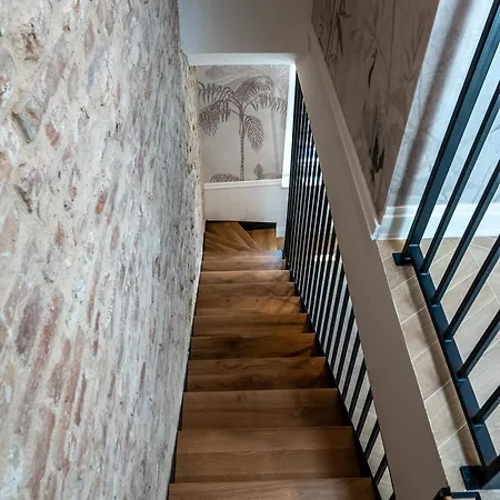 Agava Design Сплит